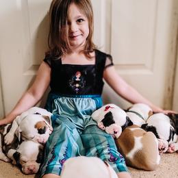 American Bulldog Puppies from Valor American Bulldogs