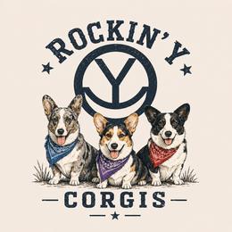 Cardigan Welsh Corgi puppies from Rockin’ Y Corgis