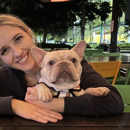 French Bulldogs from 904Frenchies