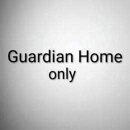 Guardian home ONLY not for sale. - Dark golden female Golden Retriever puppy in Holmesville, Ohio from Lórien Retrievers