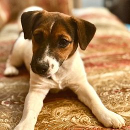 Mountain Top in Ormond Beach, FL