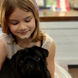 Monkey - Pug
