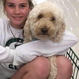 Goldendoodles from Anna