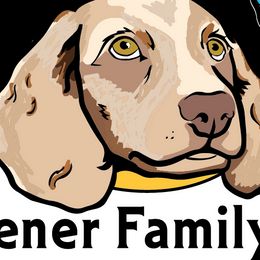 Dachshunds from The Wiener Family