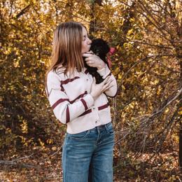 Aussiedoodle and Goldendoodle Puppies from Gray Doodles