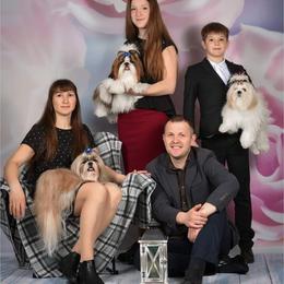 Poodle and Shih Tzu All Grown Up from Ganna Sultan