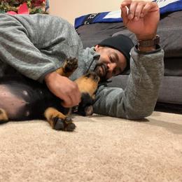 Rottweiler Puppies from Rose Red Rottweilers