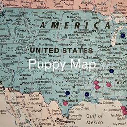 Bloodhound Puppies from Rays Of Sunshine Bloodhounds