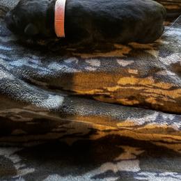 Pink - Black female Labrador Retriever puppy in Lawton, Michigan from DuckAlly Kennel