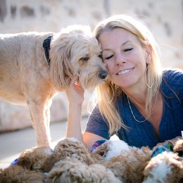Poodle Puppies from Doodle Puppy Parti
