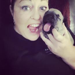 French Bulldog Puppies from Who's Your Bulldog? Kennel