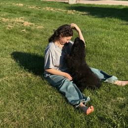 Puppy girl 2 - Black female Newfoundland puppy in St Cloud, Minnesota from BurningEmbers