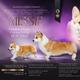 Missie