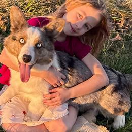 Skye - Cardigan Welsh Corgi