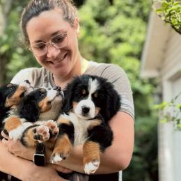 Bernese Mountain Dogs from Timeless Cottage Homestead Bernese