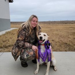 Labrador Retriever Puppies from Down South Retrievers