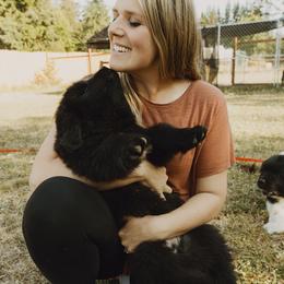 Newfoundland Puppies from Rainshadow Newfoundlands