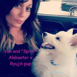 Berger Blanc Suisse and German Shepherd Puppies from Vom Hundhaus German Shepherds