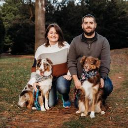 Australian Shepherd All Grown Up from Wexford Creek Aussies