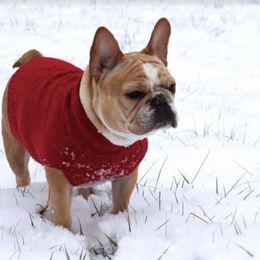 French Bulldogs from Down South Bullies