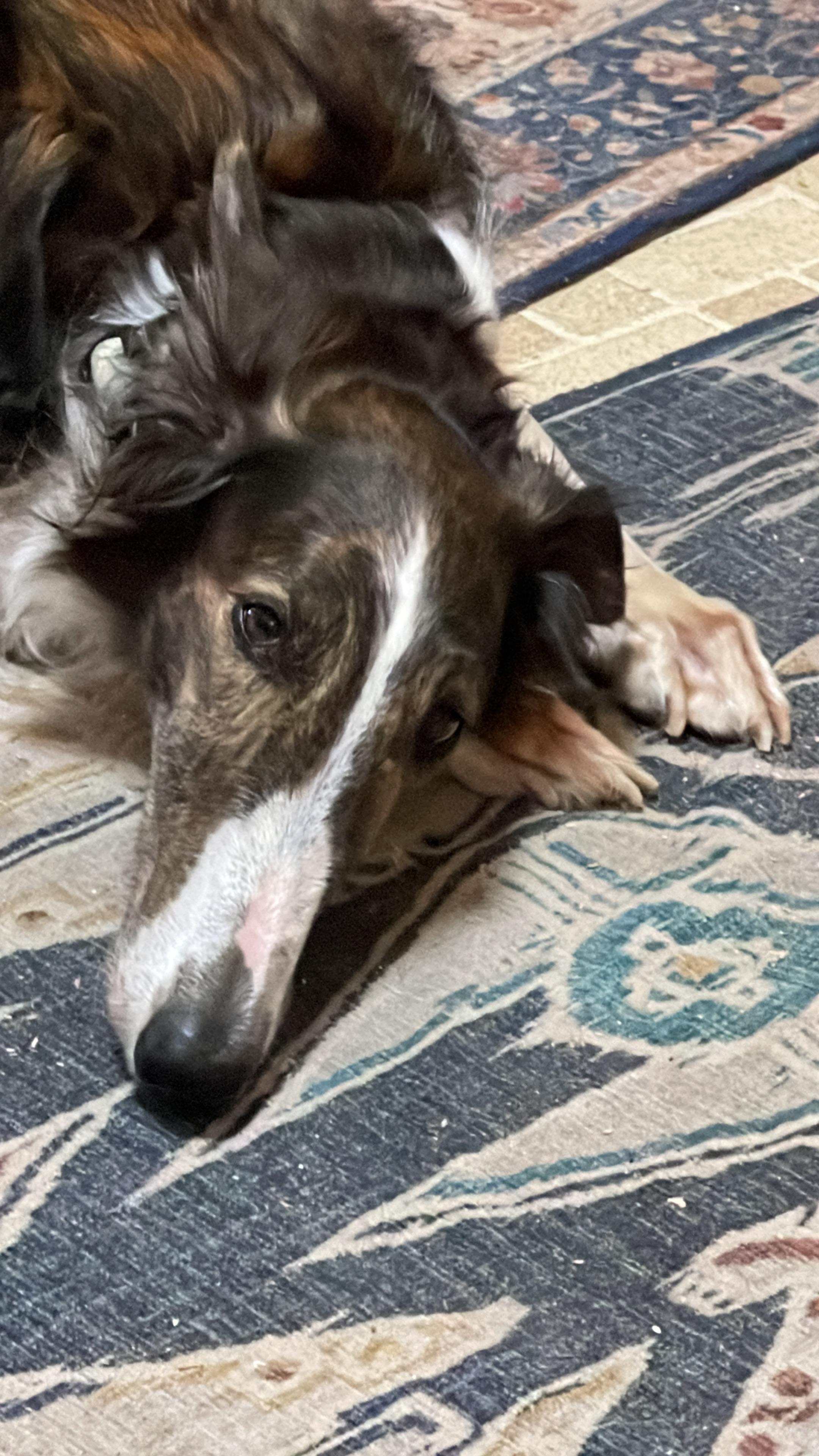 Tiggy