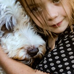Aussiedoodles and Labradoodles from Doodles & Co