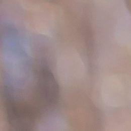 Banks - Goldendoodle