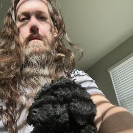 Mr Coal - Black male Poodle puppy in Severance, Colorado from Cox's Poodle Pups