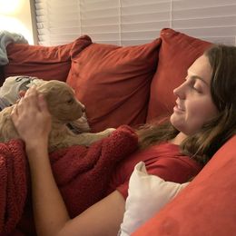 Double Doodle Puppies from Riverside Doodles in Seattle