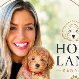 Australian Labradoodles, Cockapoos, Goldendoodles, and Golden Retrievers from Hope Lane Kennels