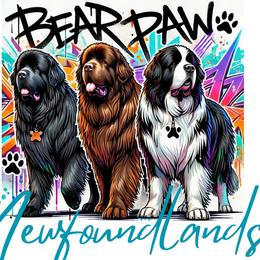 TEST - Black male Newfoundland puppy in Tully, New York from Bear Paw Newfoundlands