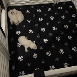 West Highland White Terrier Puppies from Red Rock Farms