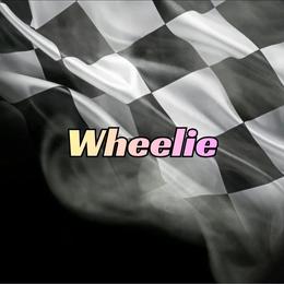 Wheelie - Black and white female Boston Terrier puppy in Lead Hill, Arkansas from Bull Shoals Bostons