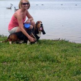 Basset Hound Puppies from Hudson's Hounds