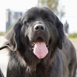 Eleanor - Newfoundland