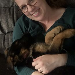 German Shepherd Puppies from Oregon German Shepherds