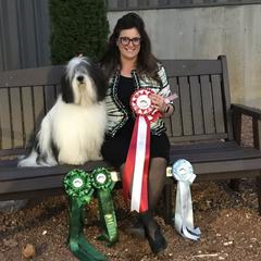 Polish Lowland Sheepdog All Grown Up from EnchantingPON