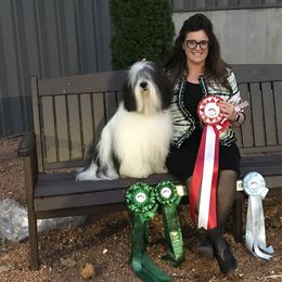 Polish Lowland Sheepdog All Grown Up from EnchantingPON