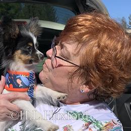 Papillon Puppies from Holly Huxford