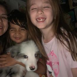 Border Collie Puppies from Cascade Sun Kennels