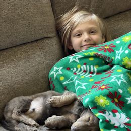 Dachshund Puppies from HP Dachs