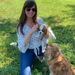 Cavalier King Charles Spaniel Puppies from Holston Mountain Cavaliers