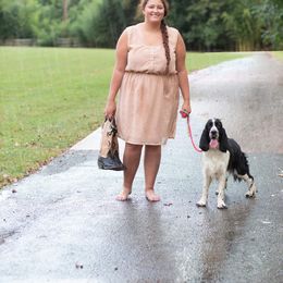 Collie and English Springer Spaniel All Grown Up from Briarcreek