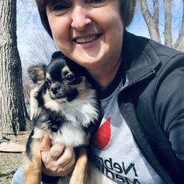 Chihuahua All Grown Up from Home Grown Chihuahuas From Iowa