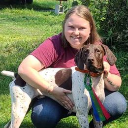 German Shorthaired Pointers from Lonesome Willow Gundogs