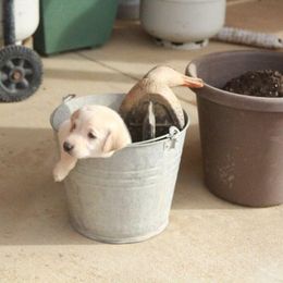 German Shorthaired Pointer and Labrador Retriever Puppies from Kevin Eskam