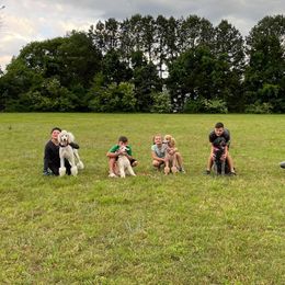 Aussiedoodles, Goldendoodles, Labradoodles, and Poodles from Hope House Doodles