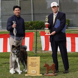Japanese Akitainus from Fukunaga Kennels Japanese Akitainu