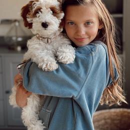 Goldendoodle Puppies from KZ Doodles