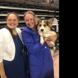 Coton de Tulear Puppies from Marnac